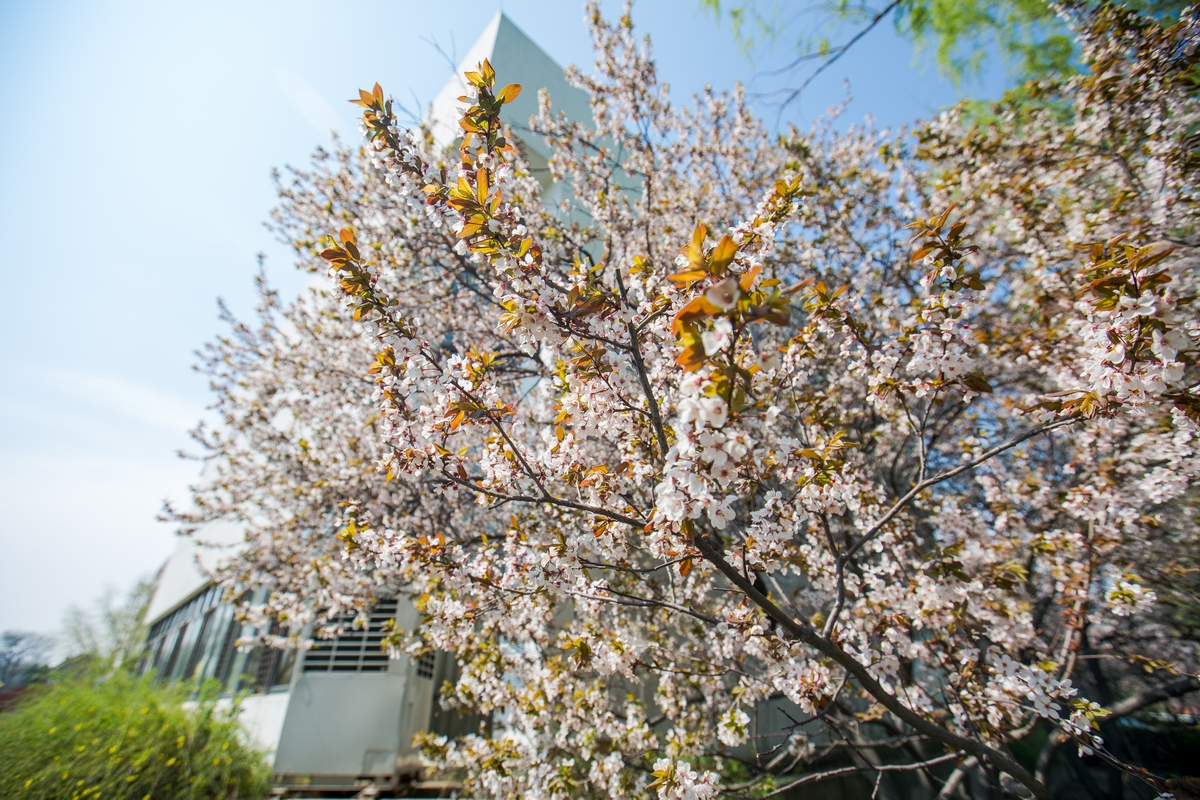 J9集团|国际站官网