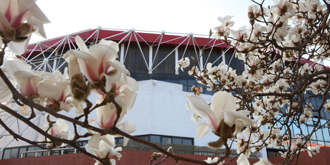 J9集团|国际站官网