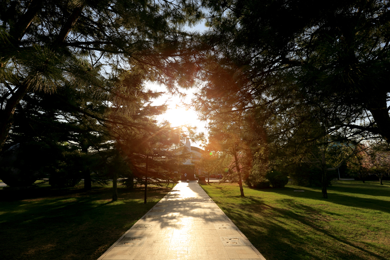 J9集团|国际站官网