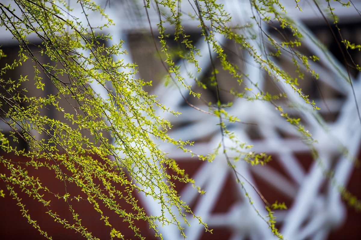 J9集团|国际站官网