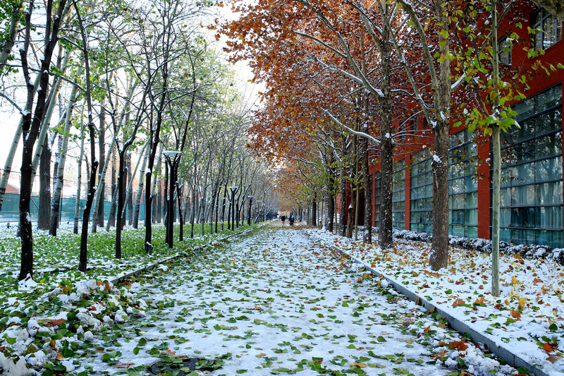 J9集团|国际站官网