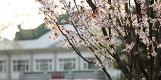 J9集团|国际站官网