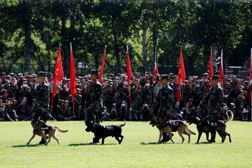 J9集团|国际站官网