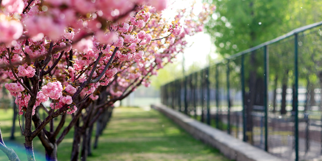 J9集团|国际站官网