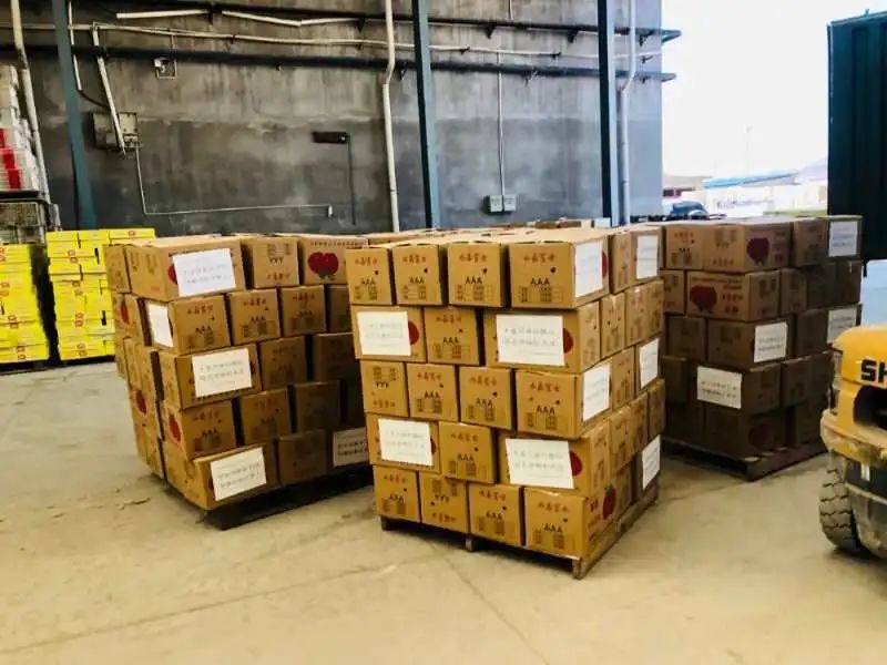 J9集团|国际站官网