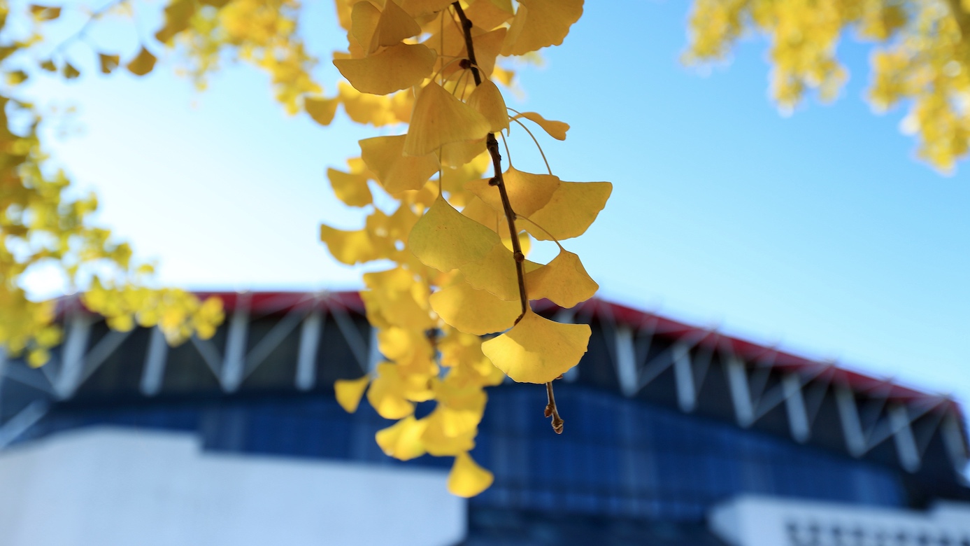 J9集团|国际站官网