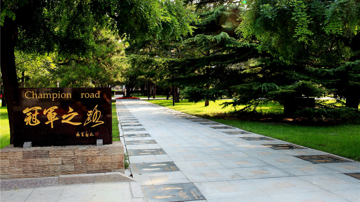 J9集团|国际站官网