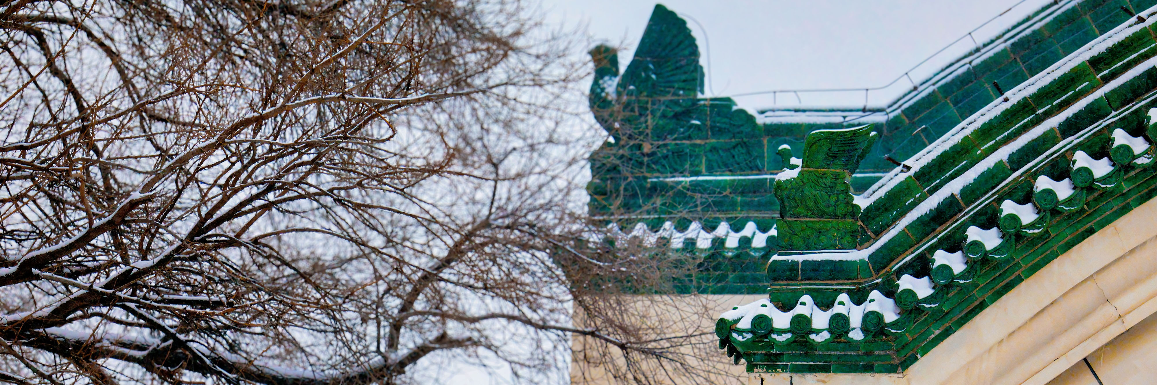 605ed87237e44aad921e1086a09be501